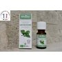 PEPPERMINT ESSENTIAL OIL ORGANIC