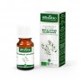 Eucalyptus Globulus - Organic Essential Oil