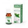 Peppermint - Organic Essential Oil