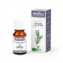 Camphor Rosemary - Organic Essential Oil