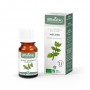 Lemon Balm - Organic Essential Oil