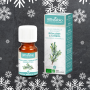 Rosemary Cineol - Organic essential oil